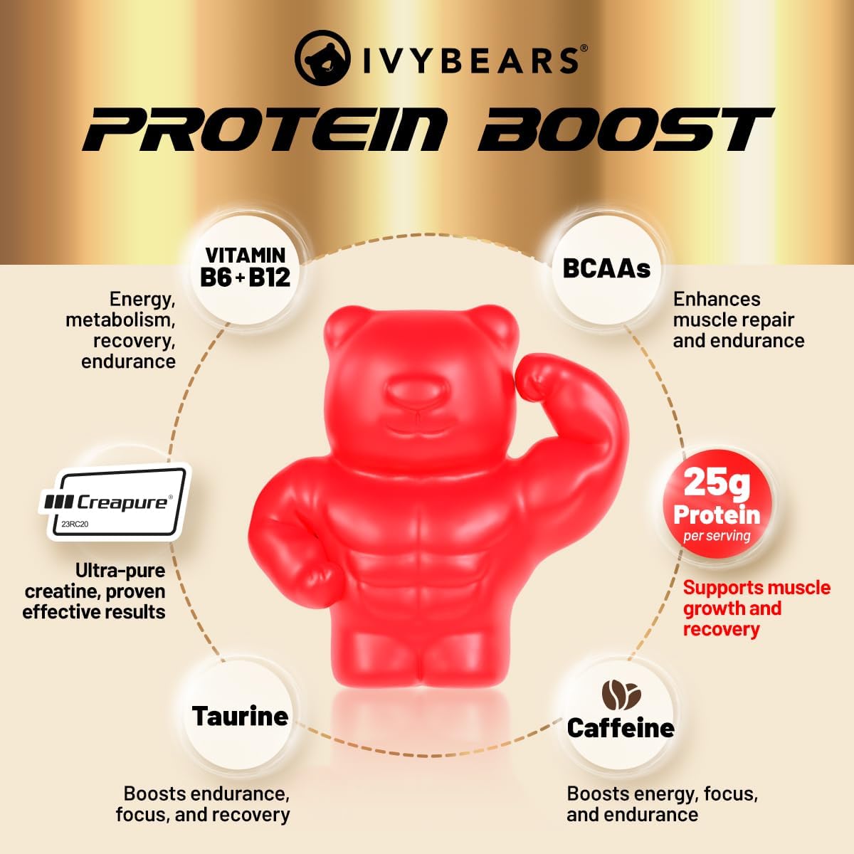 IvyBears® Protein Boost BCAA Gummies with 25g Pea Protein, Taurine, Creapure® Creatine, and Essential Vitamins | Boost Performance, Recovery, and Muscle Building